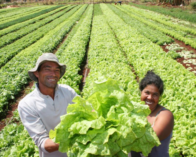 ASEGURAN RECUPERACIÓN DE PRECIOS DE AGROEXPORTACIÓN