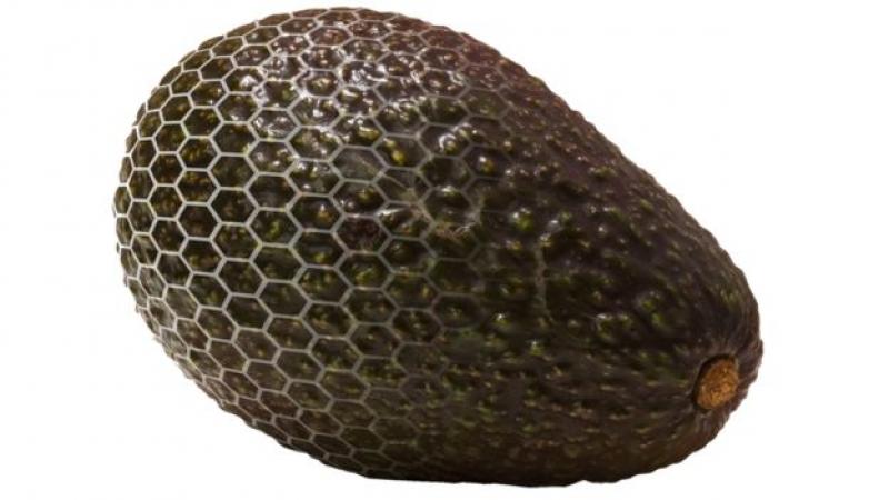 Así son los nuevos aguacates que tienen una piel invisible que les permite mantenerse frescos más tiempo sin pudrirse