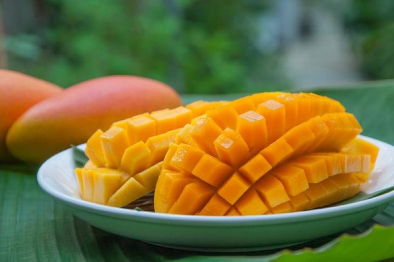 Asociación de Productores del Mango del Norte de Sinaloa y National Mango Board organizan el Taller Produciendo y Comercializando Mangos de Exportación de Calidad