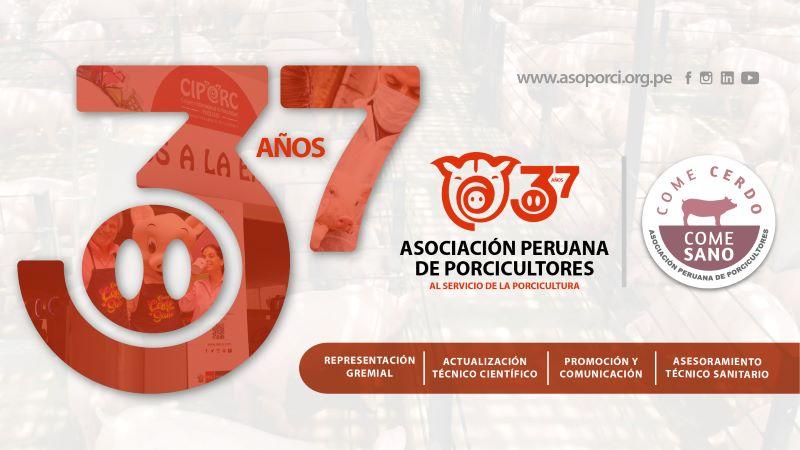 Asoporci: 37 años promoviendo el desarrollo de la porcicultura nacional