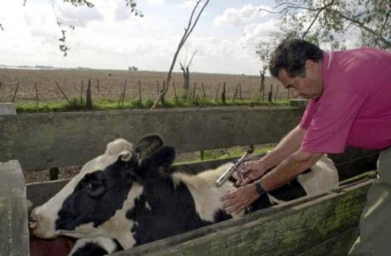 AUTORIDADES SANITARIAS DE PERU - ECUADOR SE REUNE PARA EVALUAR ACTIVIDADES CONTRA FIEBRE AFTOSA