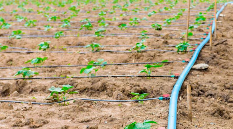 Avance del Riego Tecnificado en la Agricultura Peruana: 2005-2021