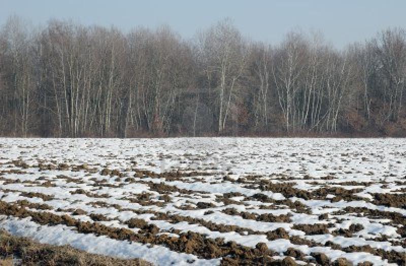 AYACUCHO: 8.243 HECTÁREAS DE CULTIVOS PERDIDAS POR CUESTIONES CLIMÁTICAS