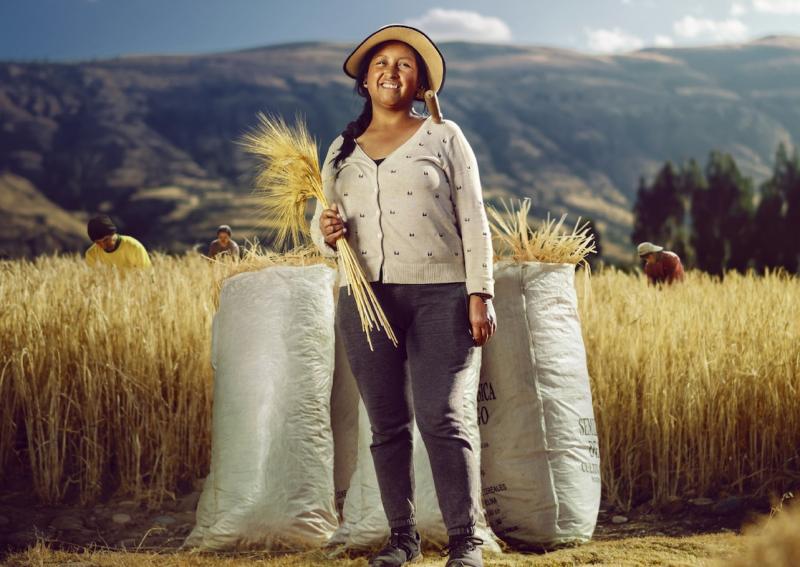 Backus y la UNALM desarrollan la primera cebada cervecera del Perú