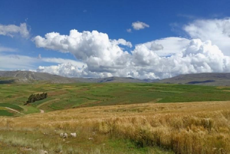 Bajas temperaturas en la sierra centro y sur afectarían los cultivos