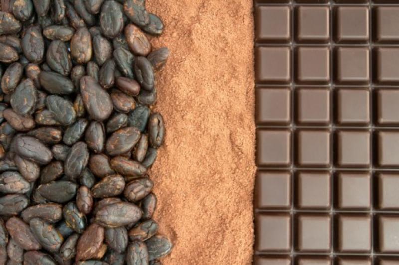 BALANCE POSITIVO PARA LAS EXPORTACIONES DEL CACAO Y DERIVADOS