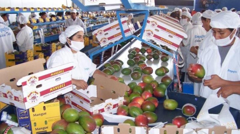 Balanza comercial agropecuaria Perú-Francia fue positiva para nuestro país en US$ 73.778.441 el 2017