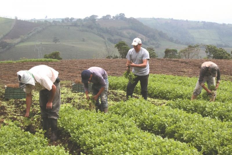 Banco Mundial destina cerca del 10% de su cartera global de préstamos al fomento del desarrollo agropecuario