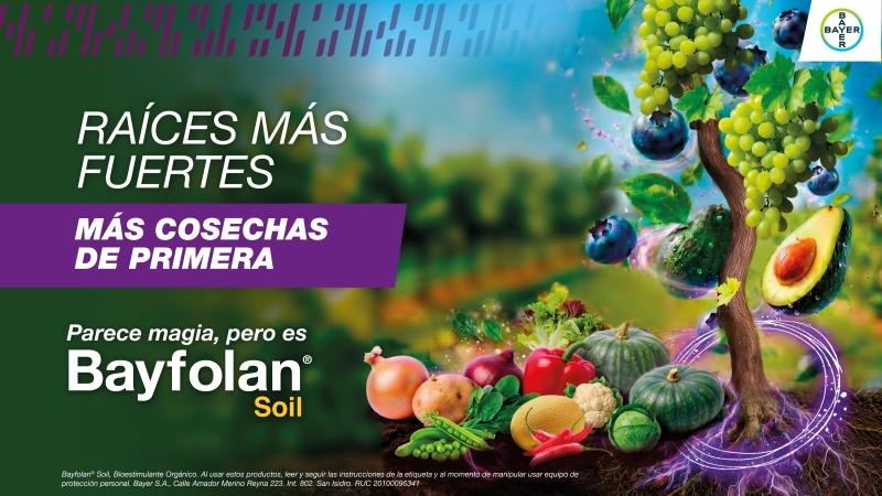 Bayfolan® Soil: la fuerza de una cepa única para construir raíces más productivas