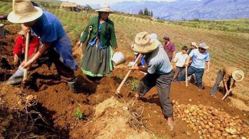 Beneficiados de bono rural de S/ 760 serán informados por mensaje de texto