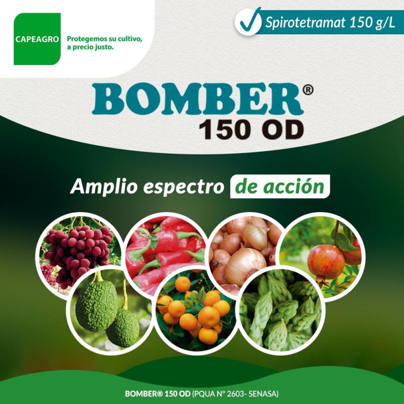 BOMBER 150 OD, control contundente sobre amplia gama de insectos picadores chupadores