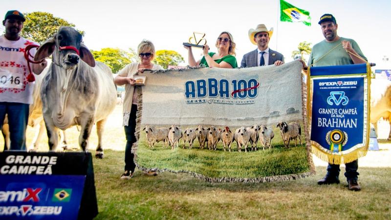 Brahman Braúnas celebra sus logros en Expozebu 2024