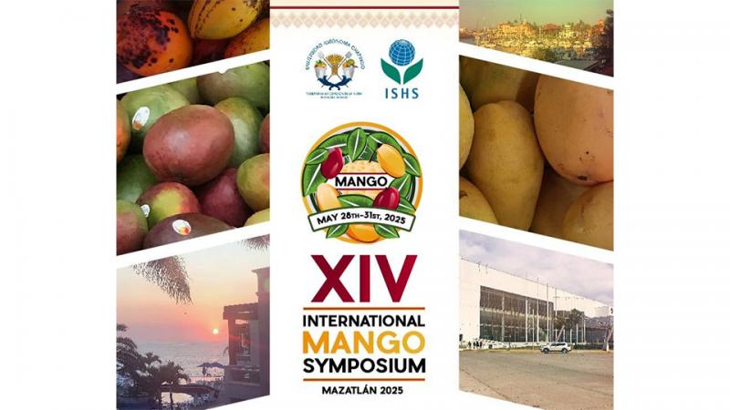 “Buscamos involucrar a estudiantes para tratar de despertar en ellos la pasión por el mango y sean los futuros investigadores”