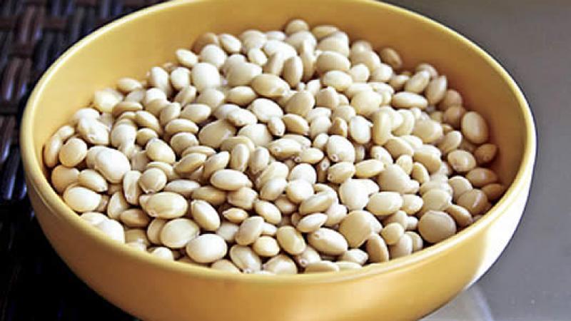 Buscan fortalecer el cultivo del tarwi en Áncash