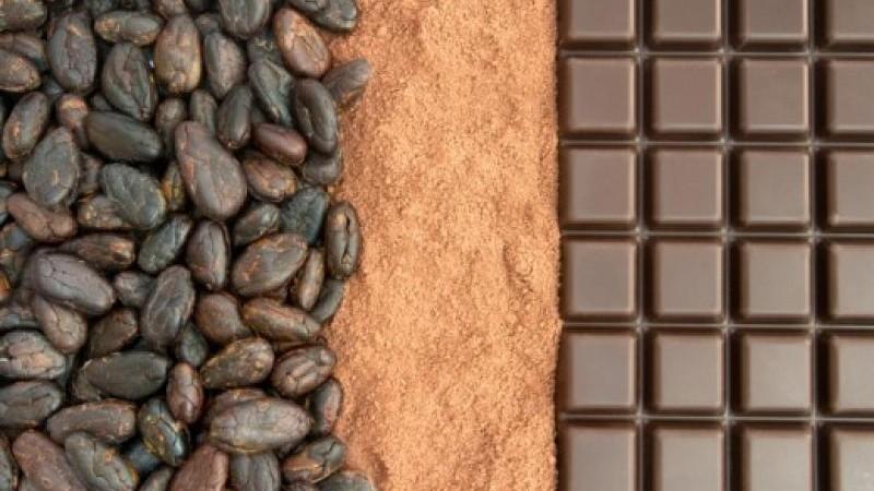 Cacao Peruano llegó a 34 mercados en abril de 2025