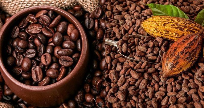Cacao y café peruano tienen 87 normas técnicas para su calidad