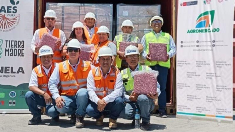 CAES Piura concreta con éxito nuevos despachos de maní orgánico para el mercado de Francia 