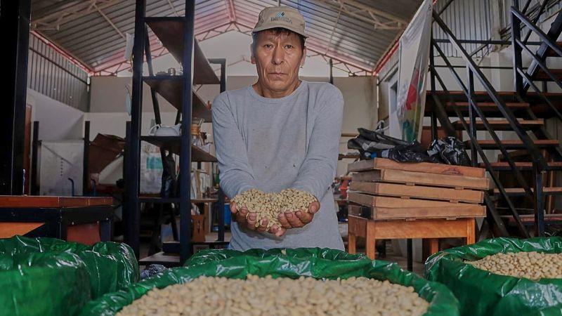 Cafetaleros del VRAEM participarán en la Taza de Excelencia 2025