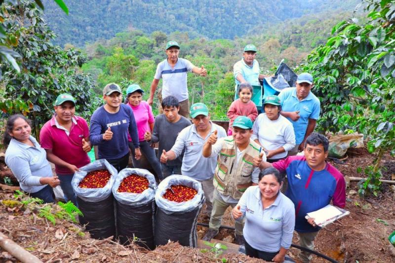 Caficultores de 50 asociaciones del VRAEM participarán en FICAFÉ 2022 Ayacucho