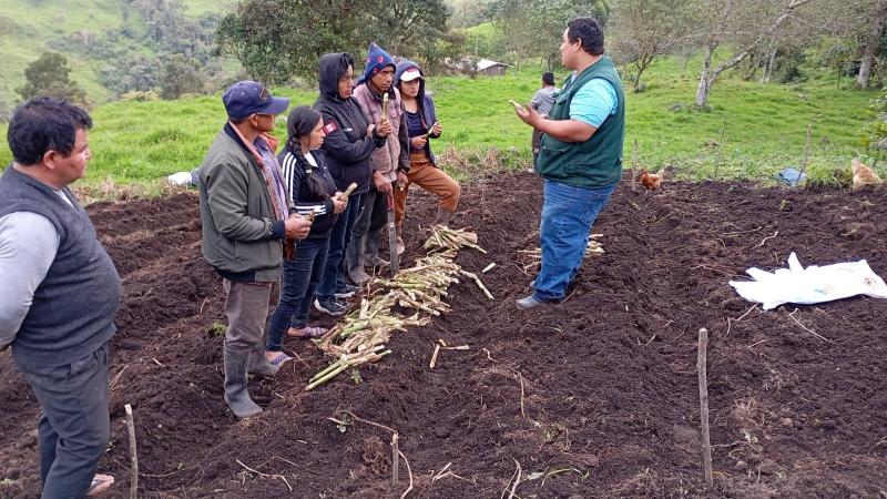 Cajamarca: INIA promueve tecnologías orgánicas para elevar la calidad de suelos en Jaén