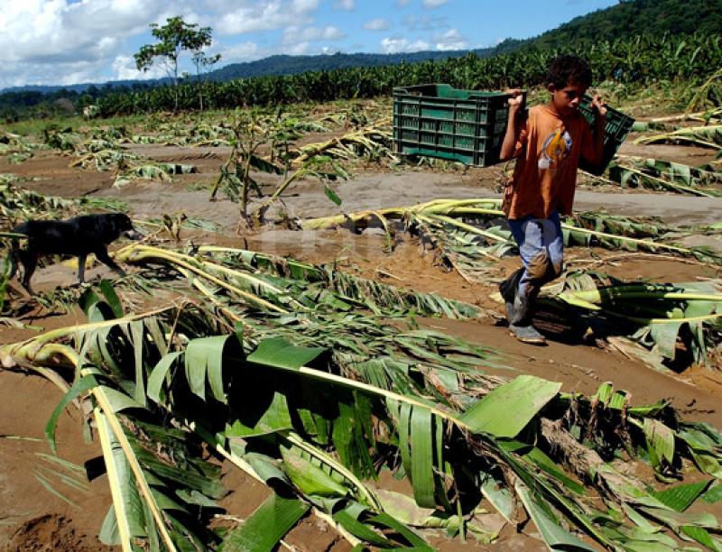 CAMBIO CLIMÁTICO COSTARÍA US$ 100 MIL MILLONES AL AÑO 