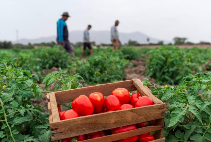 Cambio climático debe convertirse en oportunidad para la producción de nuevas variedades de cultivos