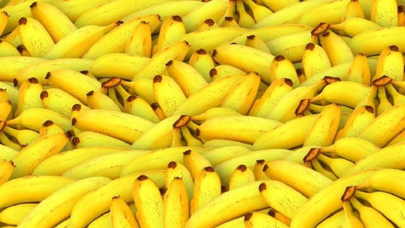 Cambio climático estaría "matando" el cultivo de banana