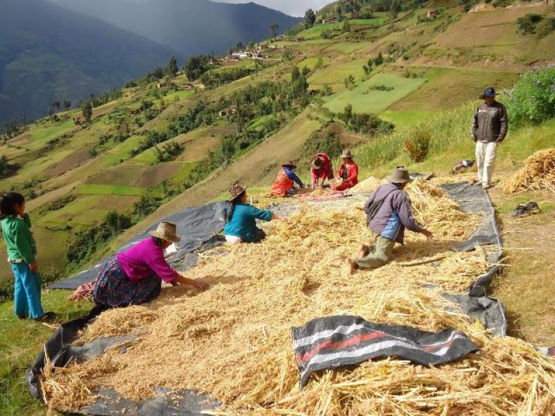 CAMBIO CLIMÁTICO REDUCIRÁ EN 50% PRODUCCIÓN AGRÍCOLA FAMILIAR  