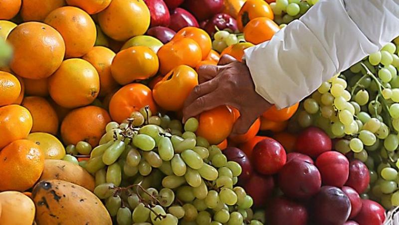 Cambio de clima podría revertir baja presencia de mosca de la fruta en el Perú