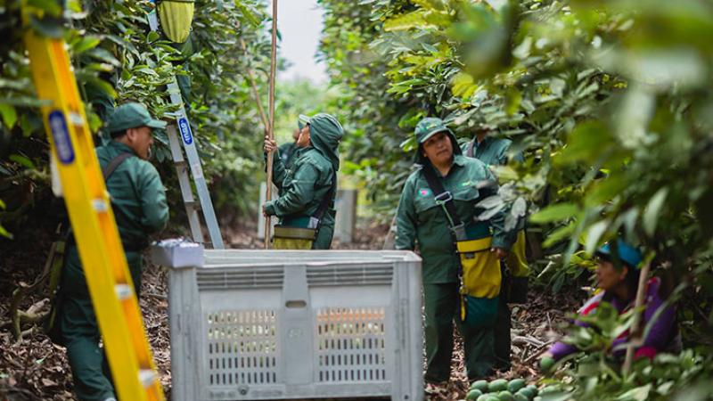 Camet Trading cerrará el año con una facturación de US$ 40 millones