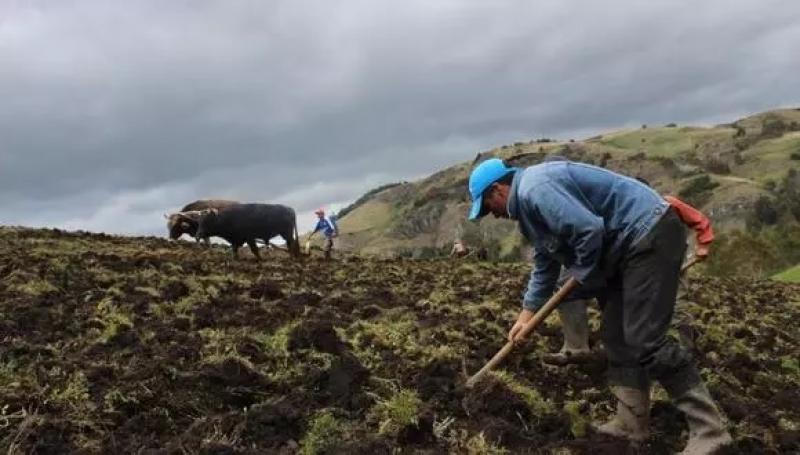 Campaña de siembra 2021-2022 terminará en rojo por problema hídrico y de fertilizantes