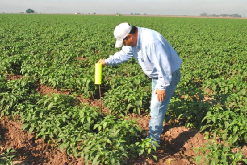 CAMPAÑA SANITARIA PARA AGRICULTORES BUSCA CONTRARRESTAR EFECTOS DE ‘EL NIÑO’