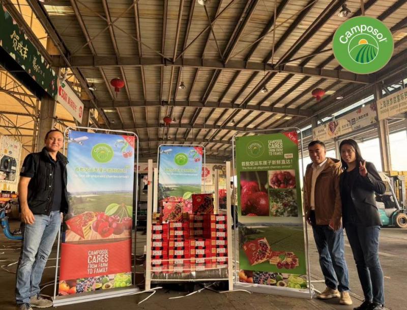 Camposol concreta su primer envío de cerezas hacia China