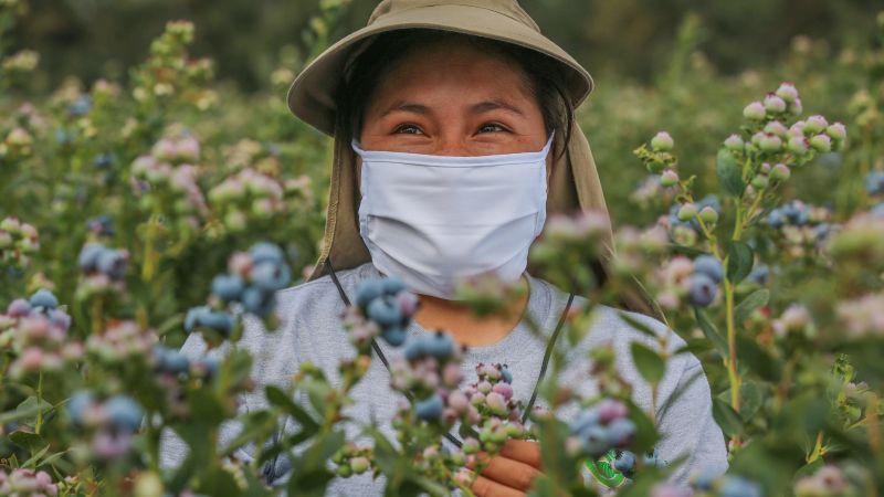 Camposol fortalece su liderazgo agroindustrial con recertificaciones internacionales de excelencia