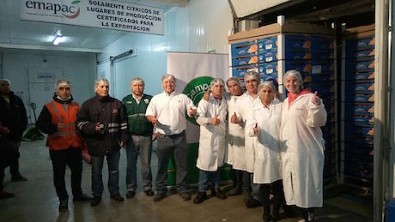 CAMPOSOL PROYECTA TENER 600 HECTÁREAS DE MANDARINAS EL 2018