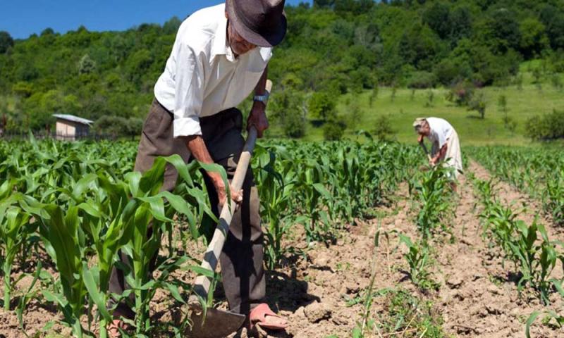 CAN pide proteger al sector agropecuario frente al coronavirus