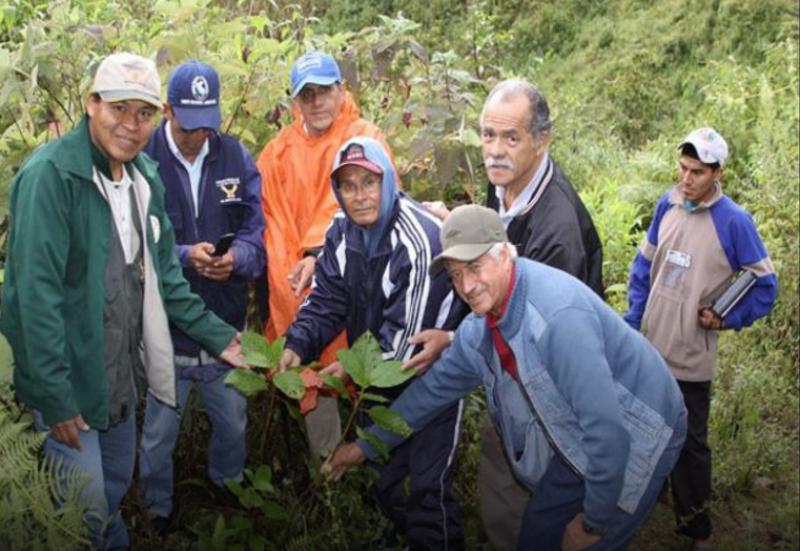 CAÑARIS ES PUNTO DE PARTIDA PARA LA REFORESTACIÓN DEL SIMBÓLICO ÁRBOL DE LA QUINA