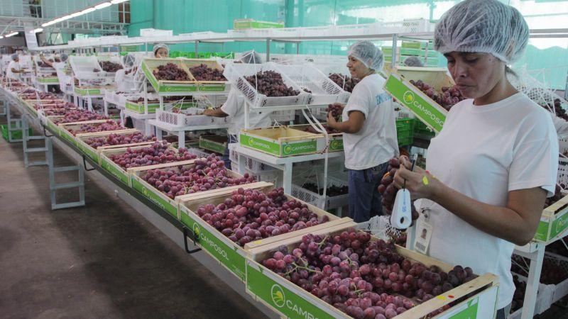 Capacitan al sector exportador sobre el marco Novel Food de la Unión Europea