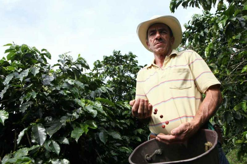 CAPACITAN EN MEJORES PRÁCTICAS DE CULTIVO A CAFETEROS EN PIURA