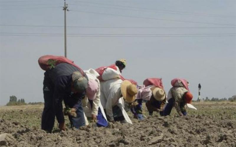 Casi 98 mil agricultores en riesgo por falta de agua