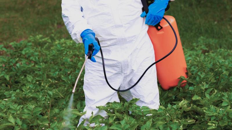 Casi cinco millones de agricultores en riesgo por posible cancelación de plaguicidas en Perú