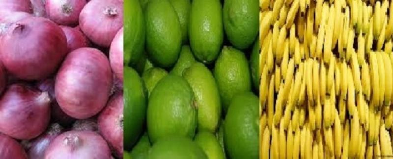 CEBOLLAS, LIMÓN Y BANANAS DE LAMBAYAQUE TIENEN POTENCIAL EN RUSIA