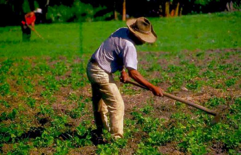 CELEBRAN DÍA DEL CAMPESINO Y FESTIVAL DE LA AGRO BIODIVERSIDAD