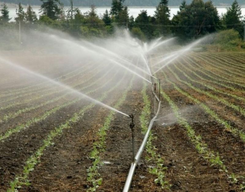 Cerca de 2.200 millones de personas no gozan de los beneficios de contar con agua dulce