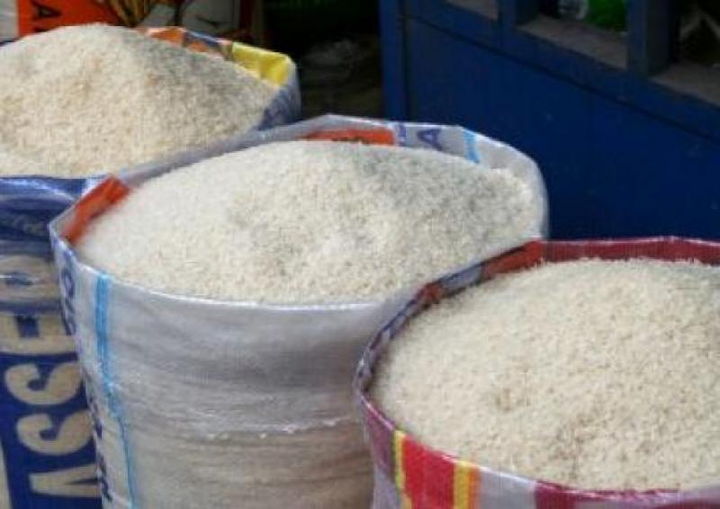 CERCA DE 40 MIL HAS NUEVAS SE ESTÁN PREPARANDO PARA LA SIEMBRA DE ARROZ