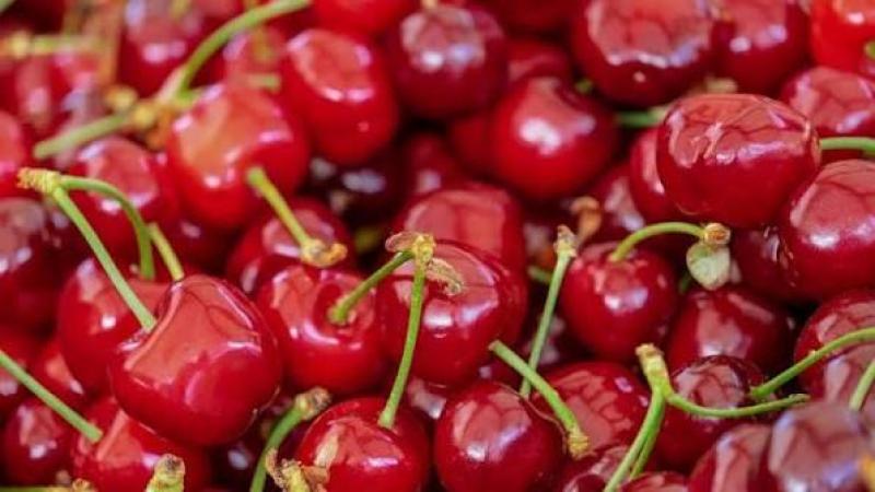 Cereza peruana busca ingresar a China
