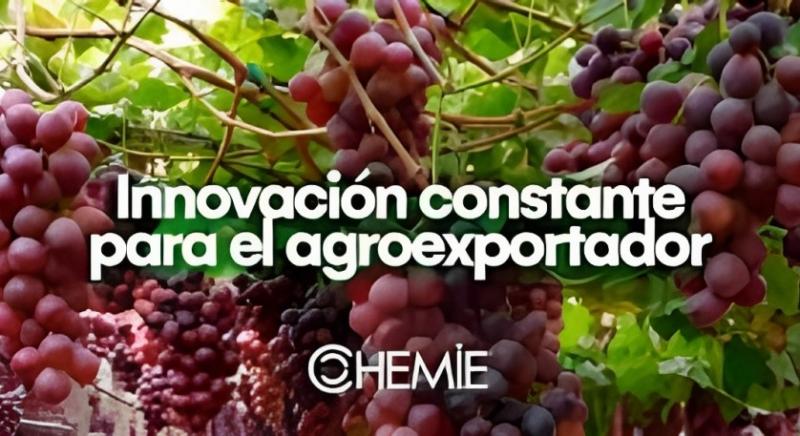 Chemie busca seguir incursionando en productos biológicos