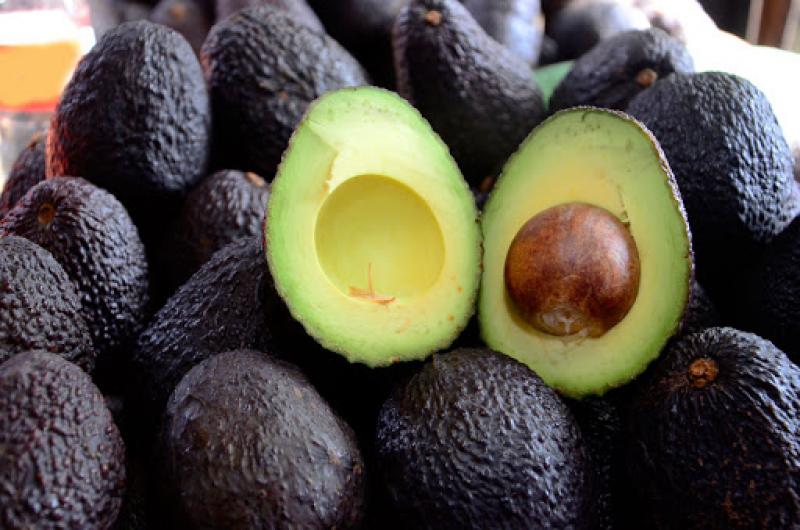 Chile empezará a exportar palta Hass a Australia