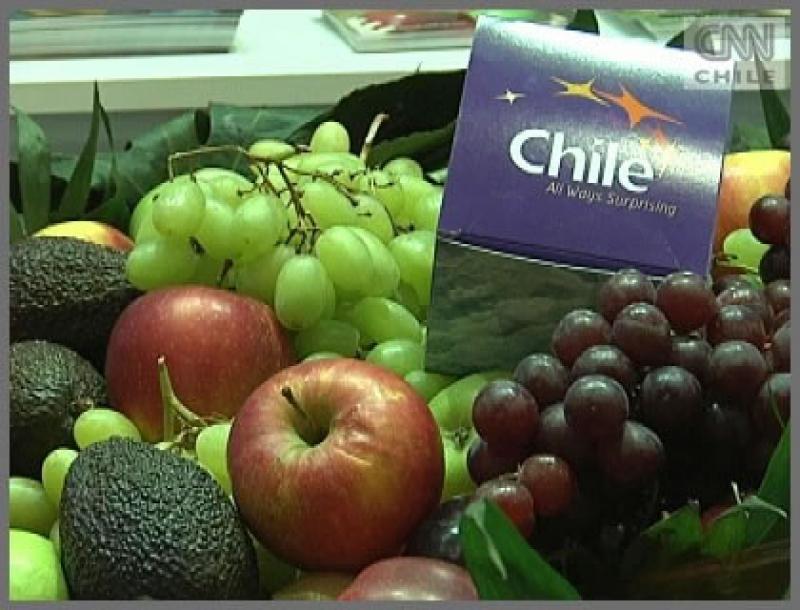 CHILE: ENVÍOS DE FRUTA CAEN EN VALOR 2.8% DURANTE ENERO-NOVIEMBRE DE 2015