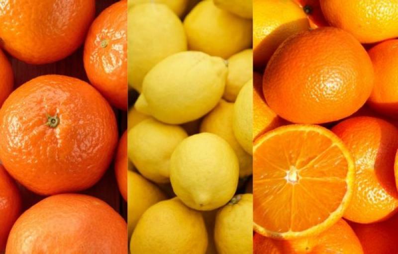 Chile exportó 397.417 toneladas de cítricos en 2024